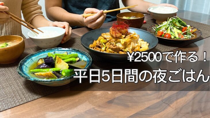 【食費月3万】2人暮らしの節約夜ごはん献立/野菜たくさん簡単レシピ